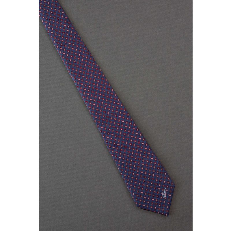 Patriotic Paisley -  Silk Carven Designer Tie