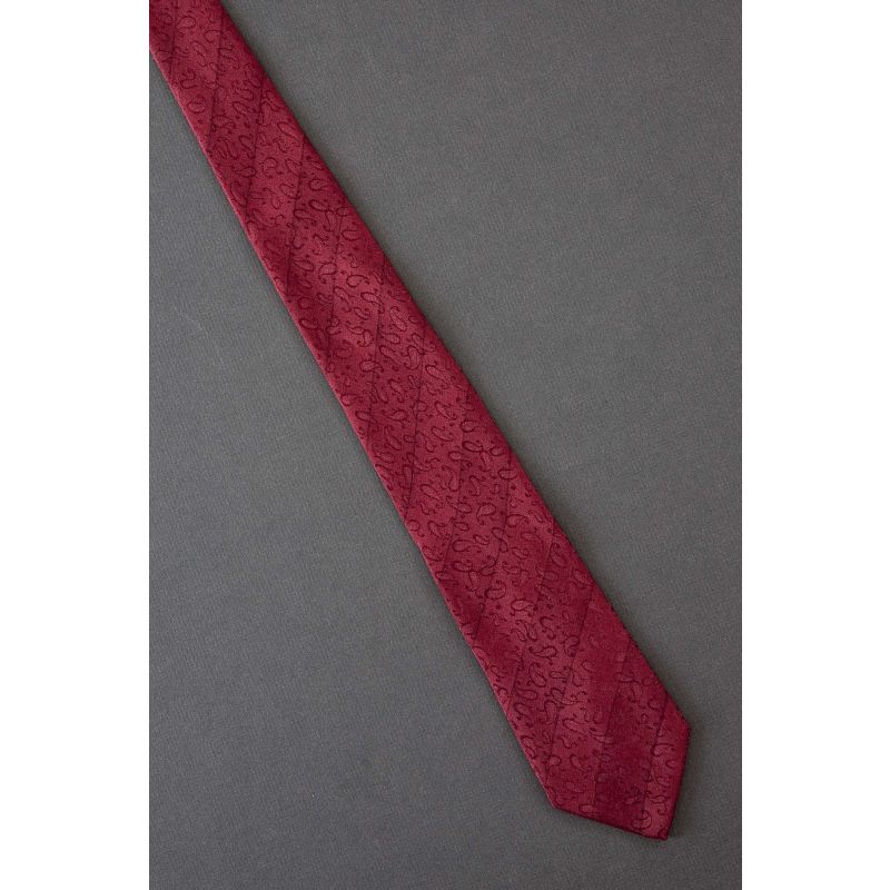 Woven Paisley & Stripe - Thin Prochownick Tie