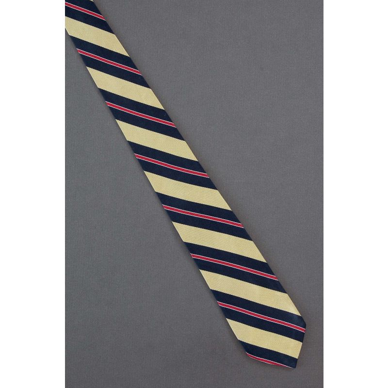 Robert Talbott - Boys Gold Striped Necktie