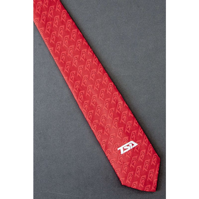 TSA - Transportation Security Administration Tie