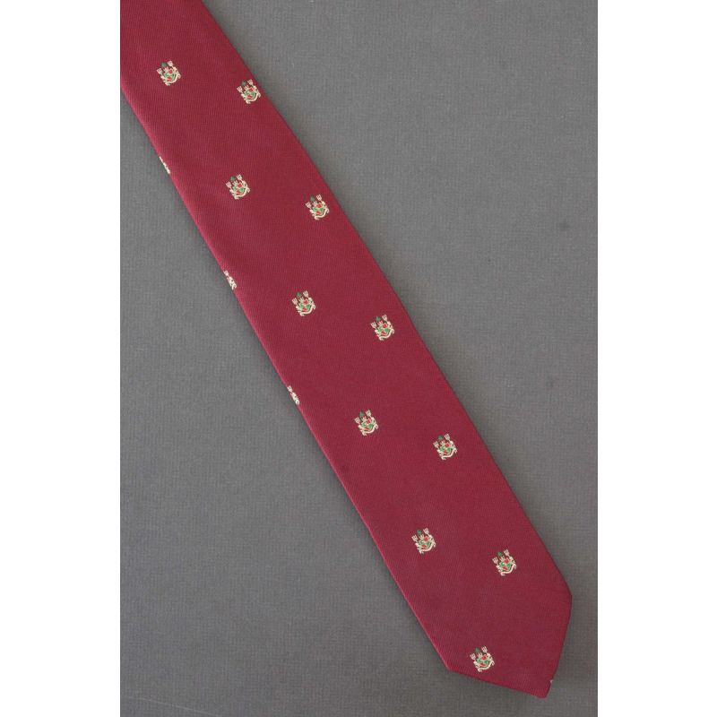 Overseas Medical Inc. Crest - Skinny Necktie