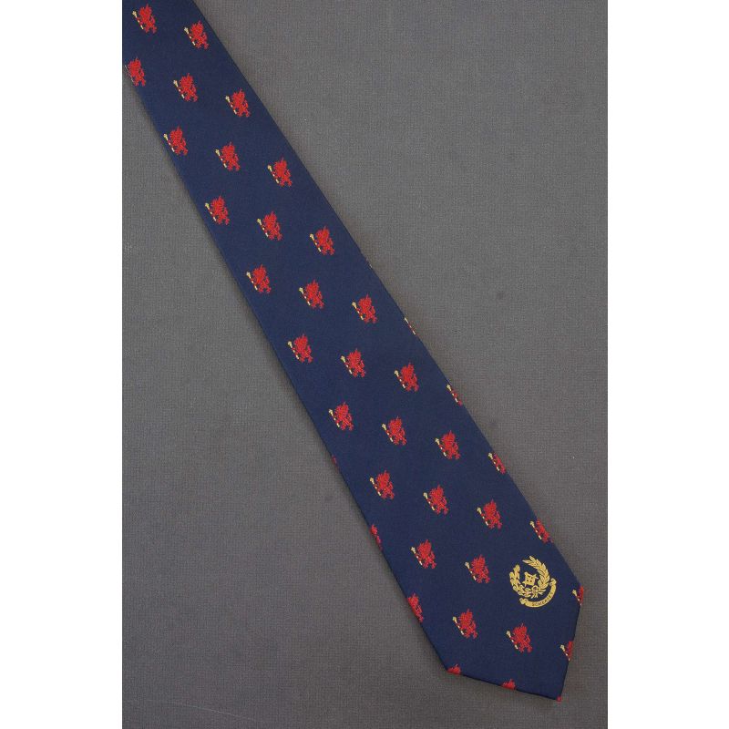 Somerset County Council Logo - Isle of Wedmore Tie