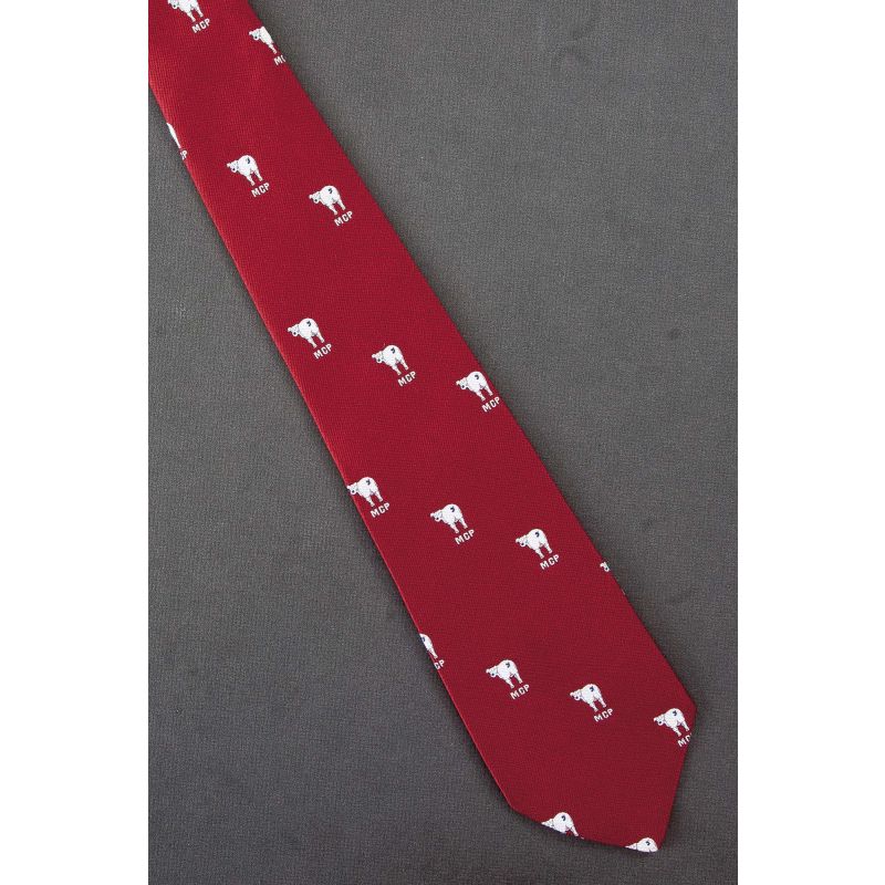 Male Chauvinist Pig - MCP Acronym Neck Tie