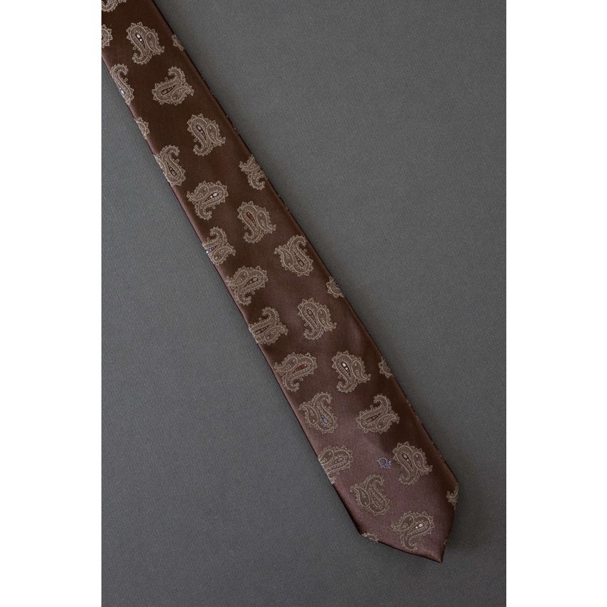 Pairs of Paisleys - 80s Christian Dior Logo Tie