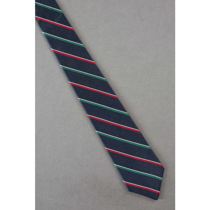 Christmas Color Striped -Boys Skinny Navy Necktie