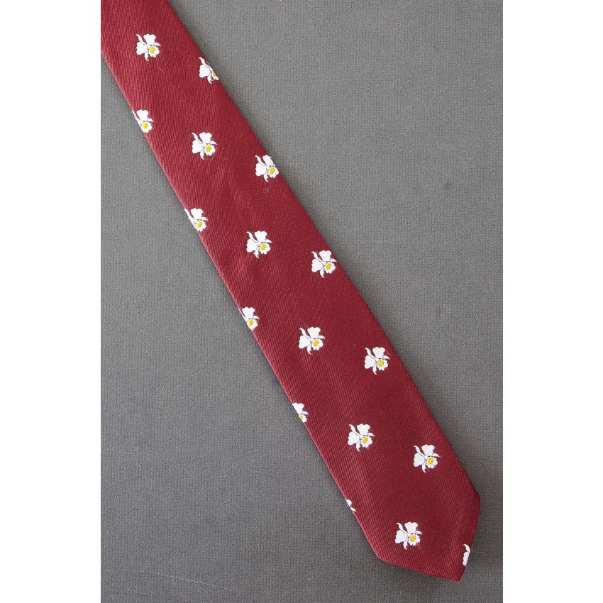 Oxford Orchids - 1980's Skinny Red Necktie