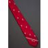 UNLV Men's Collegiate Sports Novelty Tie