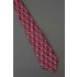 LDS - Latter Day Saints Temple - Religious Tie