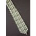 George Washington On  Dollar Bill - Money Tie