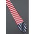 Stars & Stripes of the US Flag - Patriotic Necktie