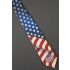 All American Vote Button - Ralph Marlin Necktie